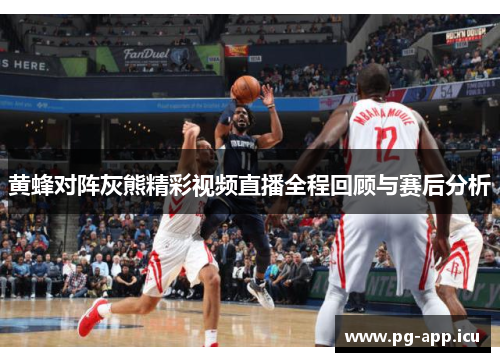 黄蜂对阵灰熊精彩视频直播全程回顾与赛后分析